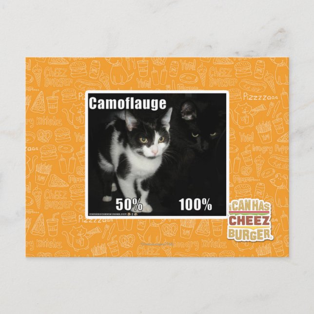 Camouflage Postcard (Front)