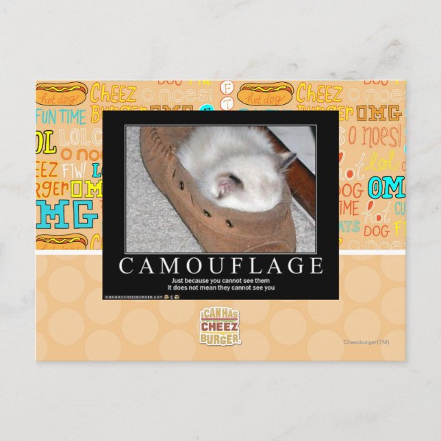 Camouflage Postcard (Front)