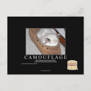 Camouflage Postcard