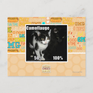 Camouflage Postcard