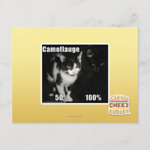 Camouflage Postcard