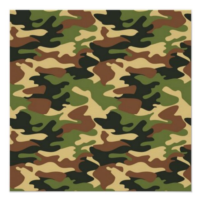 camouflage poster (Front)