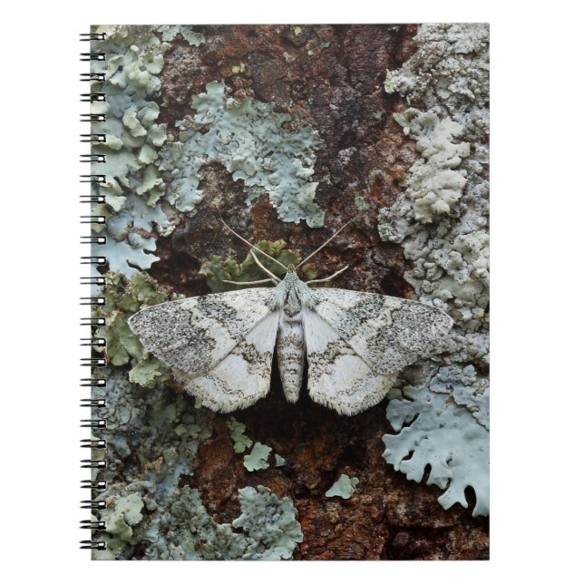 Camouflaged Moth Lichen Notebook (Front)