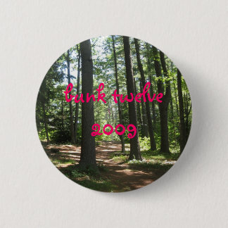 camp 2007 043, bunk twelve 2009 6 cm round badge