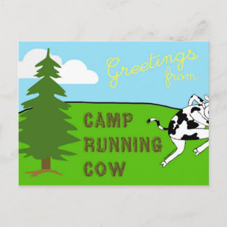 Camp Running Cow - Postcard