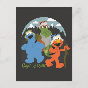 Camp Sesame Street EST. 1969 Postcard