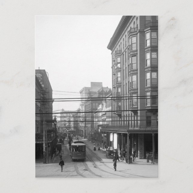 Camp Street, New Orleans: 1906 Postcard (Front)