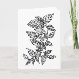 Campanula (Bellflower) Colour it Yourself Blank Card