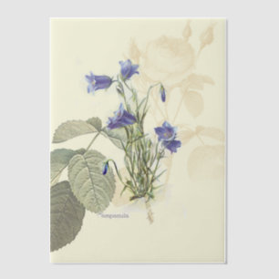 Campanula Bluebell Botanical Overlay Vellum Invitations