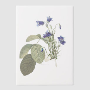 Campanula Bluebell Botanical Overlay Vellum Invitations
