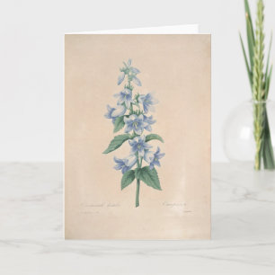Campanula by Redoute Botanical Sympathy Card