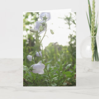 Campanula Card