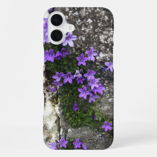 Campanula Flowers Growing on a Wall iPhone 16 Plus Case
