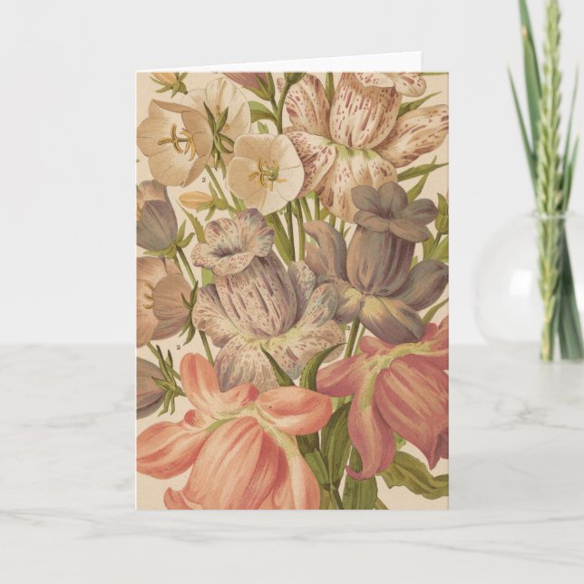 Campanula | George Nicholson Card (Front)