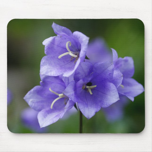 Campanula Mouse Mat (Front)