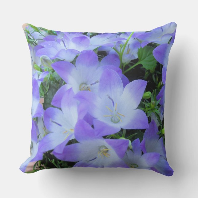 Campanula Purple White Bellflowers Photograph Cushion (Front)