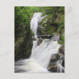 Campbell Falls Berkshires Waterfall Postcard