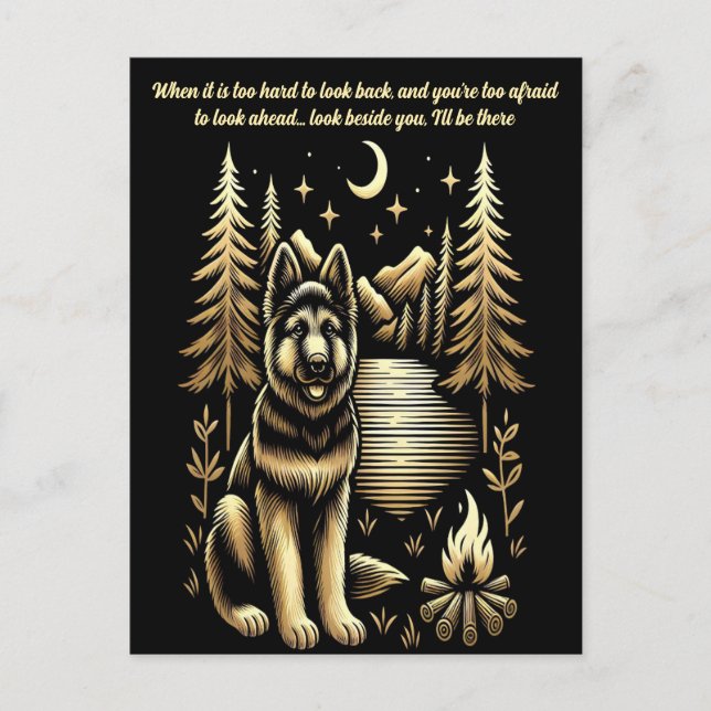 Campfire Companion Under Stars Postcard (Front)