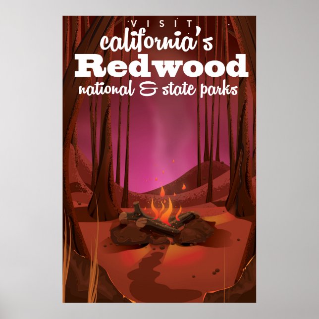 Campfire in the forest. poster (Front)
