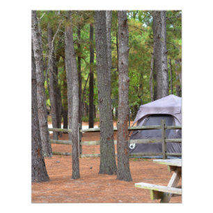 Campground with tent and fence in woods photo print