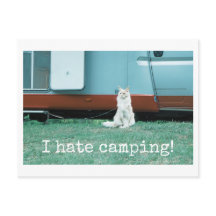 Camping Cat