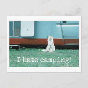 Camping Cat Postcard