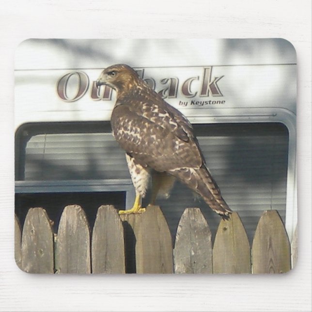 Camping Hawk mousepad (Front)