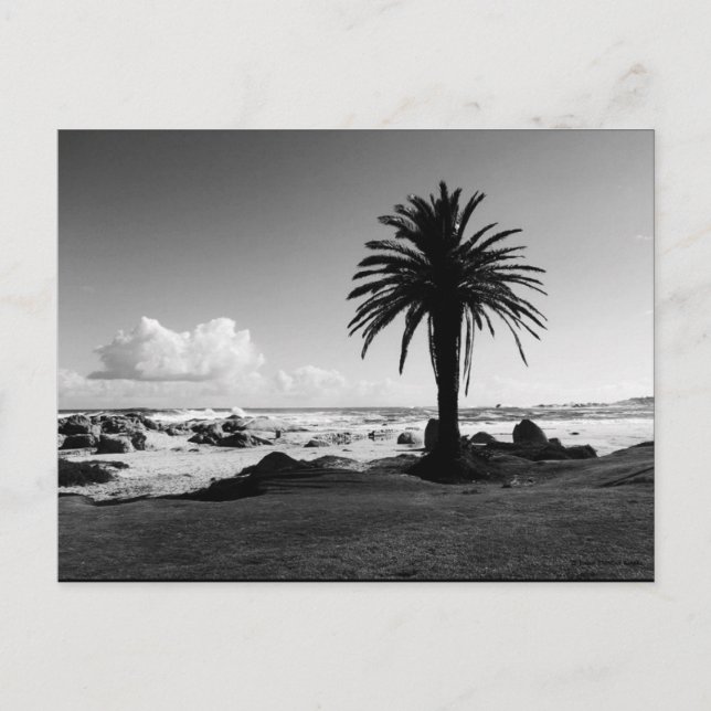 "Camps Bay South Africa" BW JTG Postcard (Front)