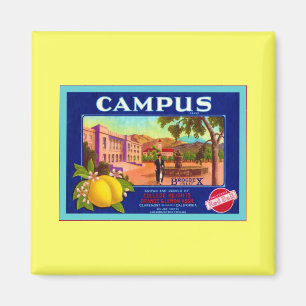Campus Brand Lemons ~ Vintage Fruit Crate Label Magnet