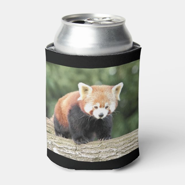 Can Cooler Photo red panda , animals 0001. (Can Front)