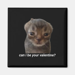Can I Be Your Valentine Funny Cat Meme Brainrot Ge Magnet