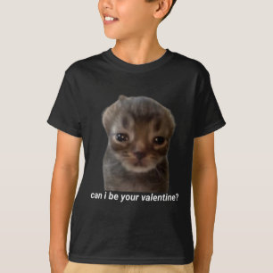 Can I Be Your Valentine Funny Cat Meme Brainrot Ge T-Shirt