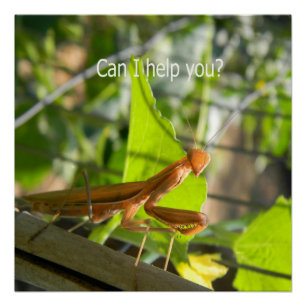 Can I help you?... Poster