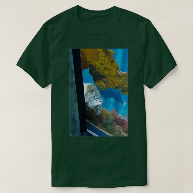 Can I help you T-Shirt (Design Front)