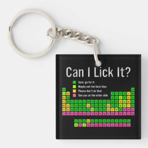Can I Lick It Periodic Table Teacher Student Kids Key Ring