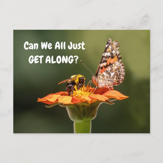 Can We All Just Get Along? Postcard (Front)