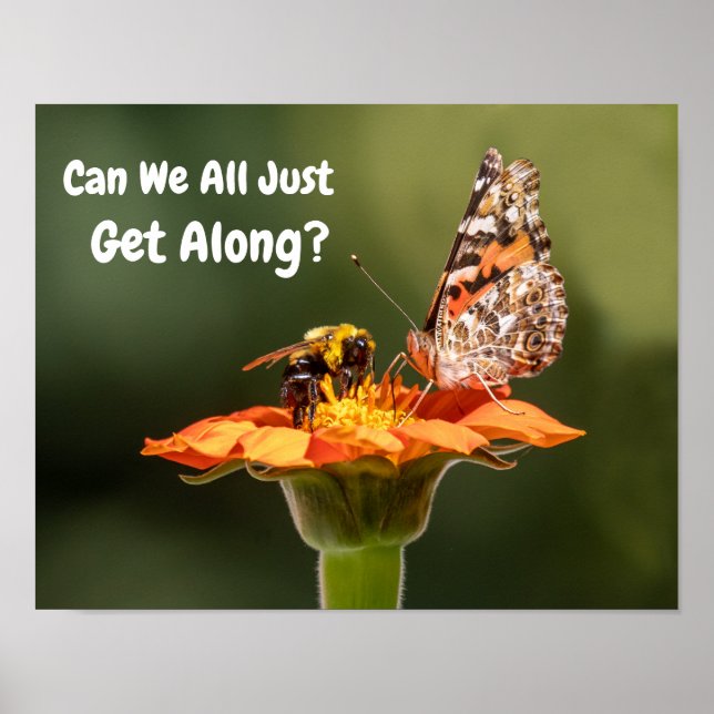 Can We All Just Get Along? Poster (Front)