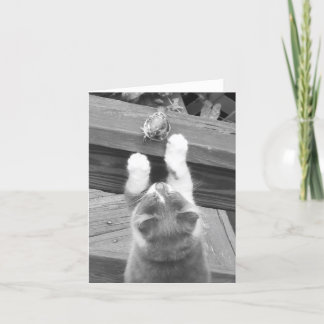 Can  we be FRIENDS? Card