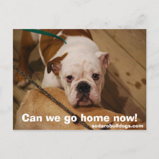 Can we go home now! postcard