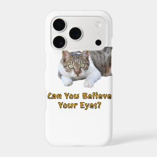 Can You Believe Your Eyes Cute Cat Art