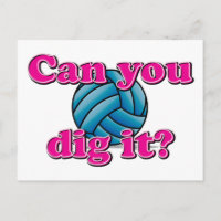 Can you dig it? Volleyball!