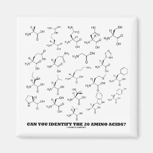 Can You Identify The 20 Amino Acids? (Chemistry) Magnet