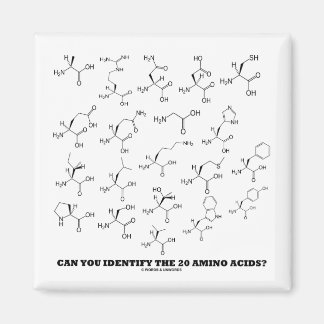 Can You Identify The 20 Amino Acids? (Chemistry) Magnet