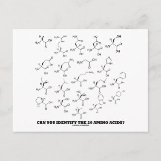 Can You Identify The 20 Amino Acids? (Chemistry) Postcard