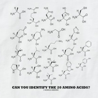 Can You Identify The 20 Amino Acids? Chemistry T-Shirt