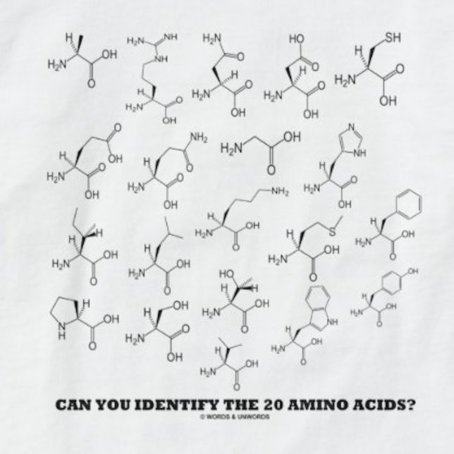 Can You Identify The 20 Amino Acids? Chemistry T-Shirt (Tee featuring the scientific query "Can You Identify The 20 Amino Acids?")