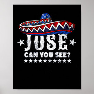 Can You See 4th Of July Poster