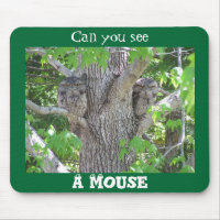 Can you see a mouse?