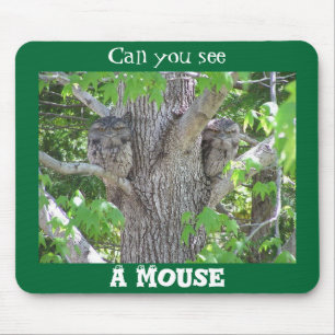 Can you see a mouse? mouse mat