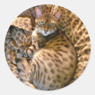 Can you see me? classic round sticker